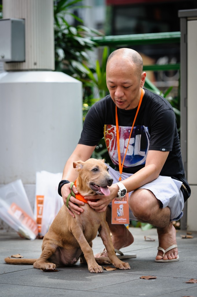 Street photography - Puppy with an adoption volunteer