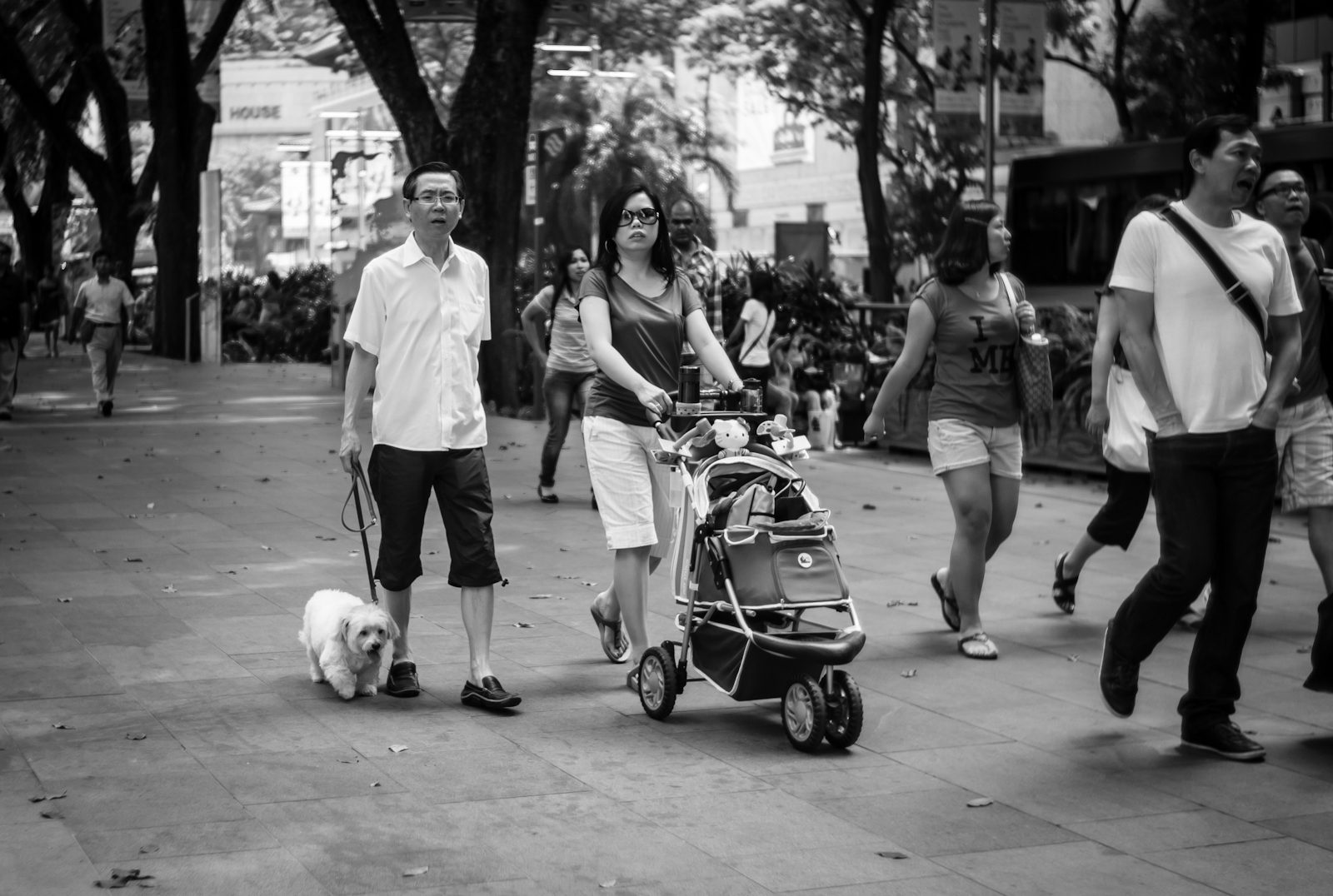 Street photography - Couple pushing a pram for their pet dog