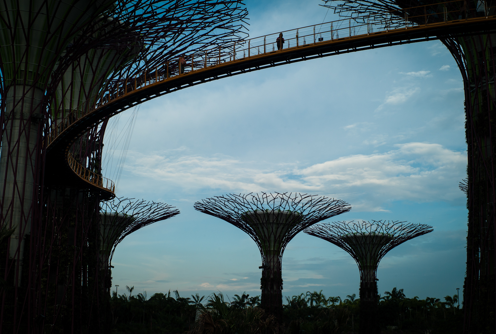 Silhouette of Gardens by the Bay